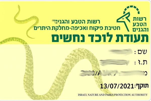 דוגמת היתר רט״ג