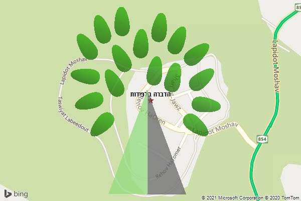 הדברה בלפידות
