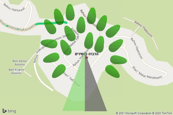 הדברה באמירים