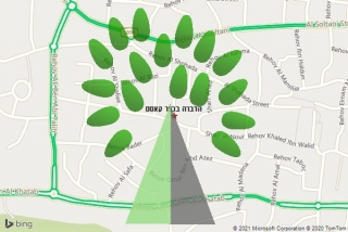 מדביר בכפר קאסם - הדברה בכפר קאסם