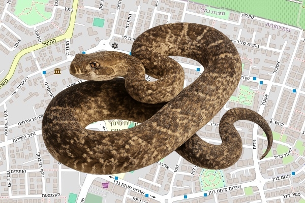 אופיר מויאל