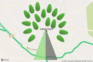 מדביר בערערה - הדברה בערערה