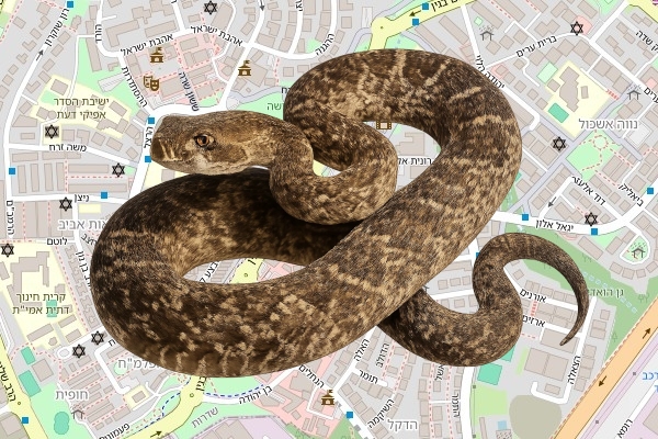 יחזקאל טרבלסי
