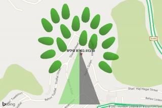 מדביר בנצרת עילית - הדברה בנצרת עילית