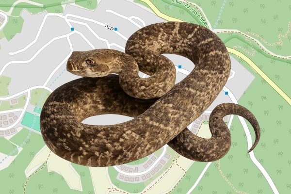 ערן שמואל