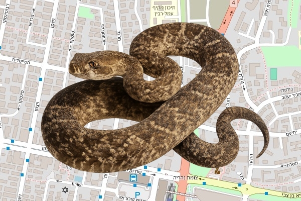 רונן הרמן