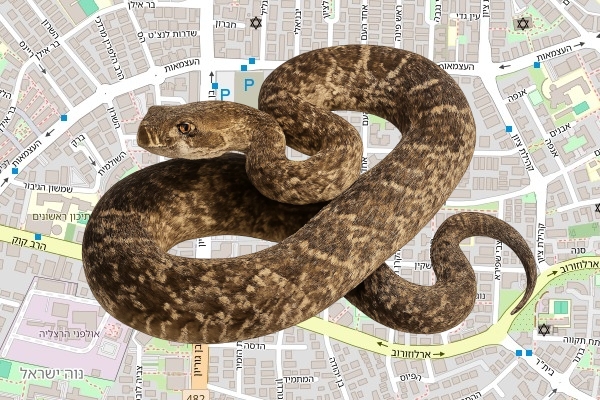 יעקב קסב