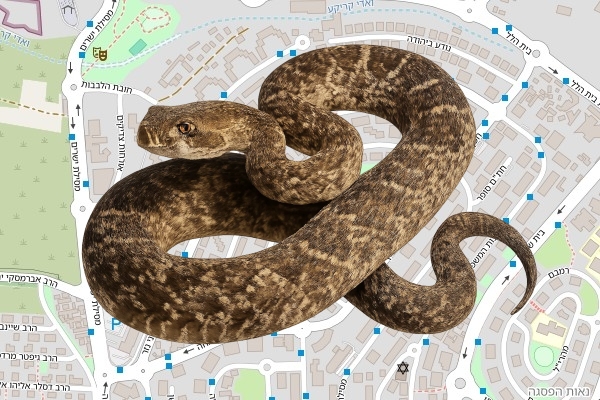 מנחם מנדל יוסף זקס