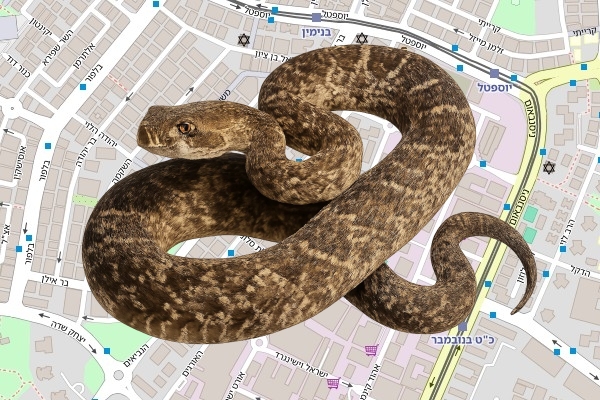 יניב שמר