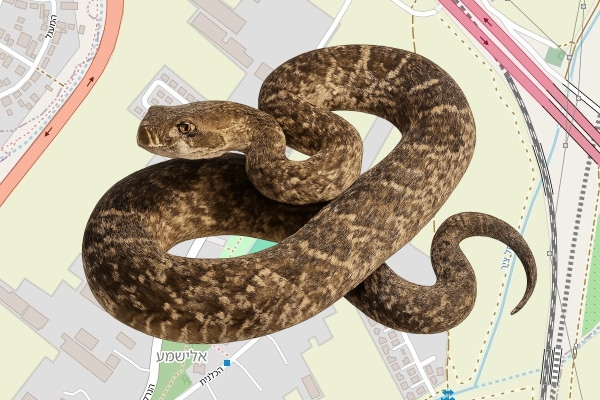 לידור חן ברמלי