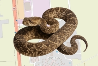 לוכדים מורשים בבארות יצחק - אהרון גל