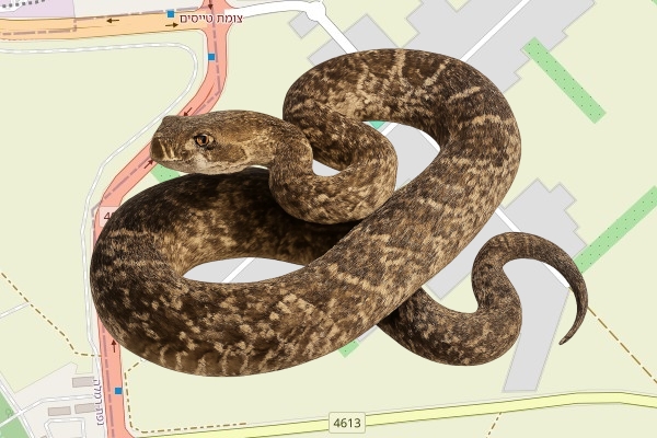 יאיר ניר