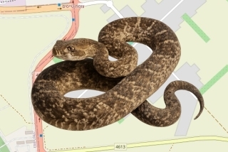 לוכדים מורשים בבני עטרות - יאיר ניר