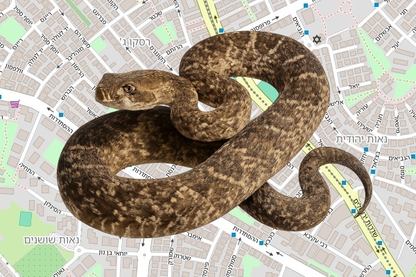 יהונתן אליקים