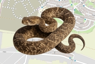 לוכדים מורשים בחרב לאת - יצחק סגל