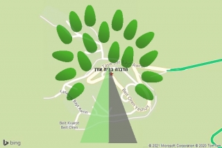 מדביר בבית אורן - הדברה בבית אורן