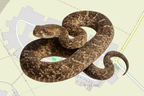 שמעון פילהבר