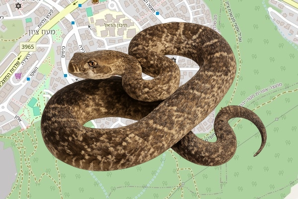 ינאי סהר