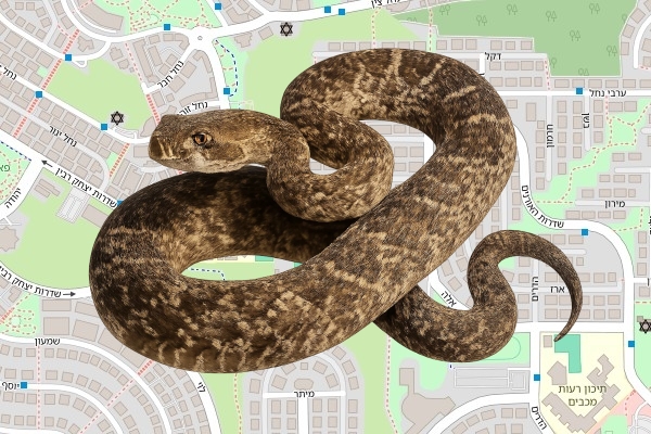 ערן בן בסט