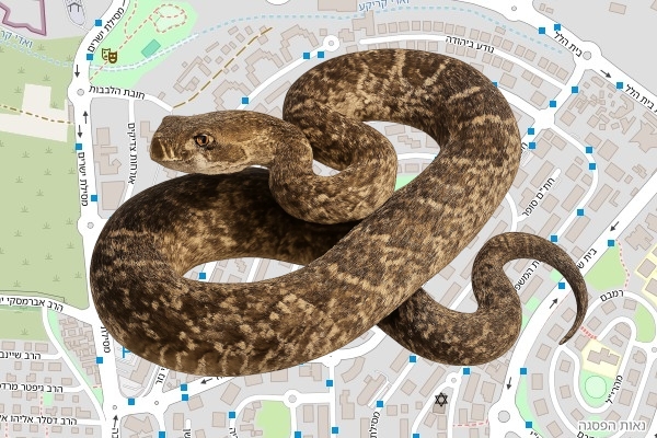 אברהם קיסנר