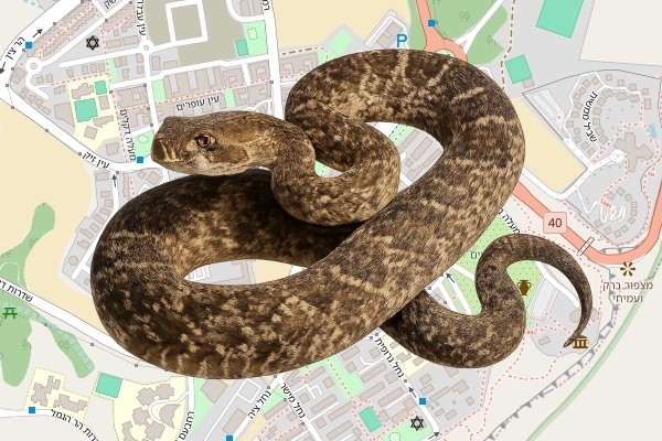 פיני אלמקייס