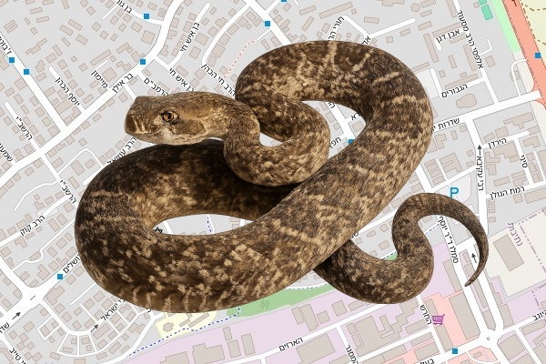 יועד ענתבי