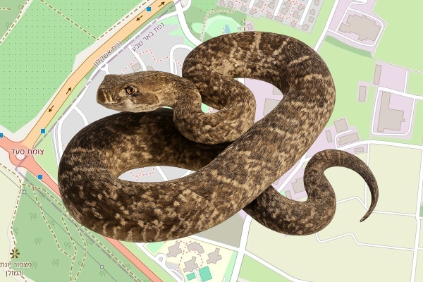 יואל עברון