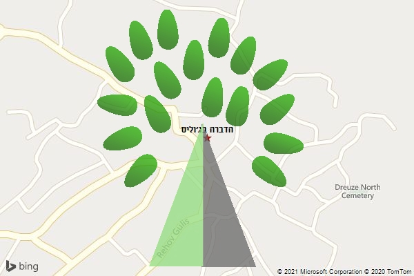 הדברה בג׳וליס