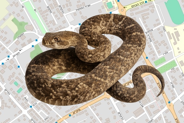 גיא אפרים חורש