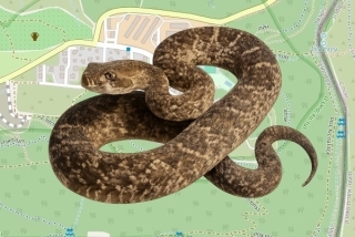 לוכדים מורשים בצור נתן - יגאל גולני