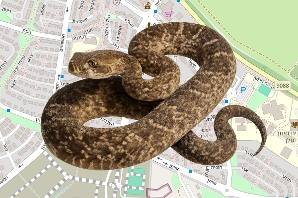 יונתן וון פלט