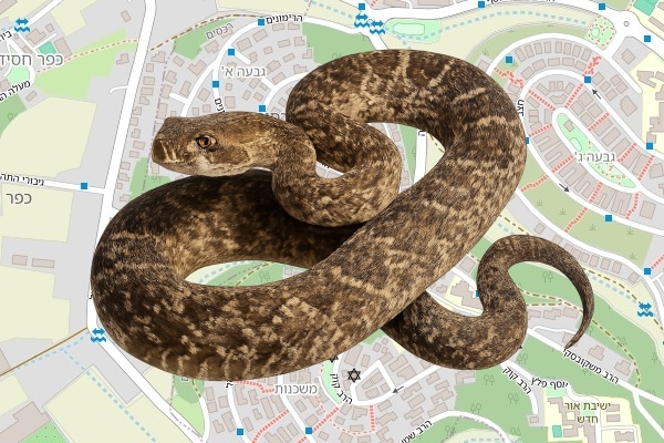 יאיר נוסבכר