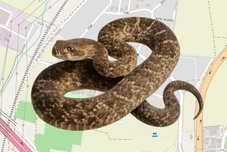 לוכדים מורשים בשדי חמד - אבי בר