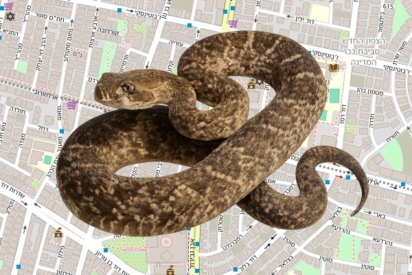 יחזקאל חיו