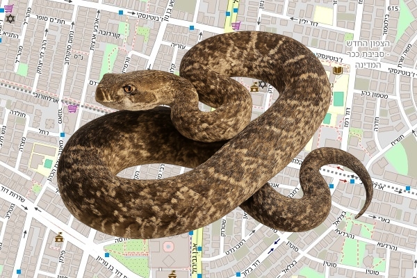 אופיר שטרנברג
