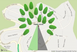 מדביר בתמרת - הדברה בתמרת