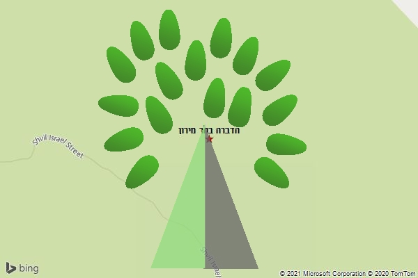 הדברה בהר מירון