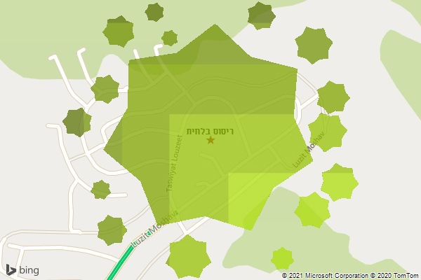 ריסוס בלוזית