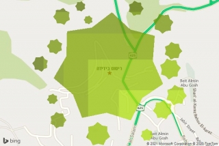 מדביר בידידה - ריסוס בידידה