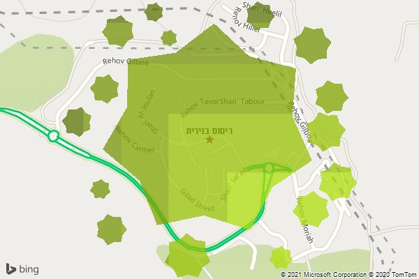 ריסוס בנירית