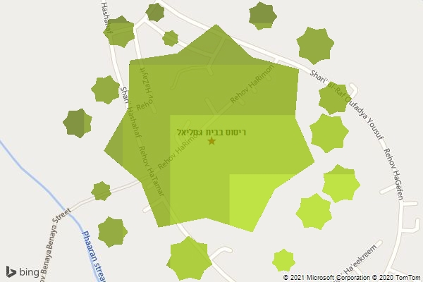 ריסוס בבית גמליאל