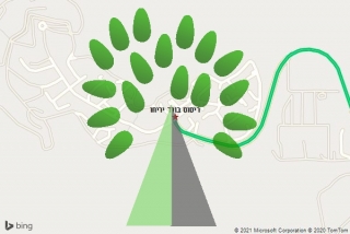 מדביר בורד יריחו - ריסוס בורד יריחו