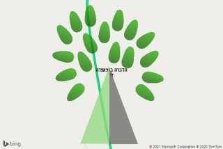 מדביר בנצאצרה - הדברה בנצאצרה