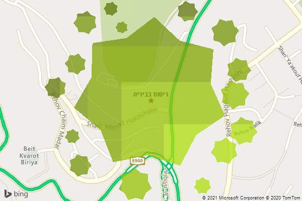 ריסוס בביריה