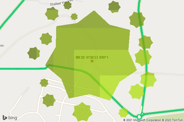 ריסוס בכעביה טבאש