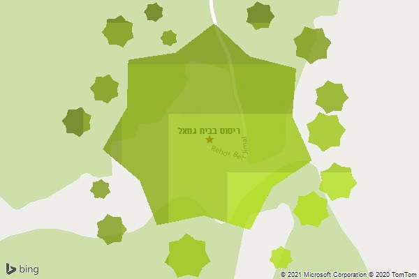 ריסוס בבית גמאל