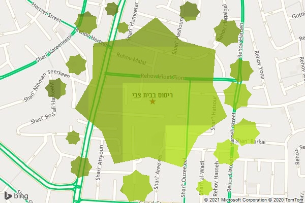 ריסוס בבית צבי