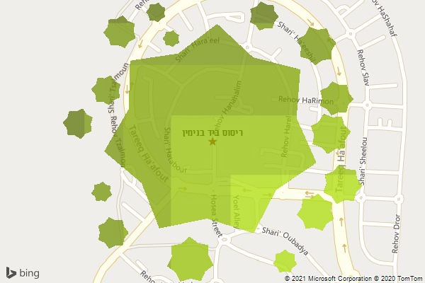 ריסוס ביד בנימין