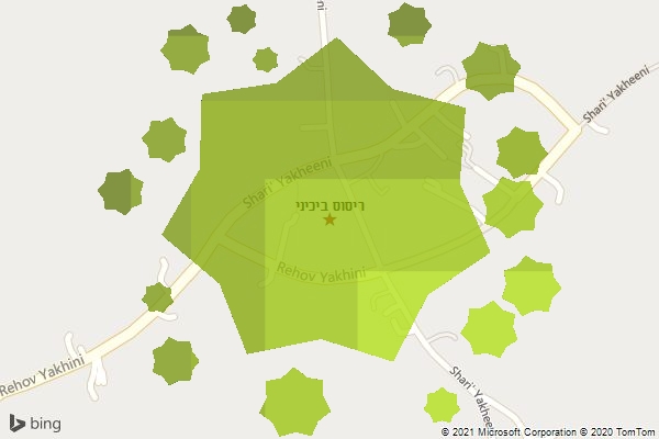 ריסוס ביכיני