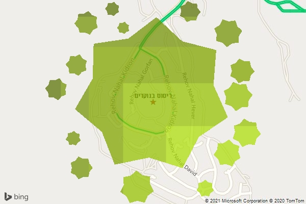 ריסוס בנוקדים